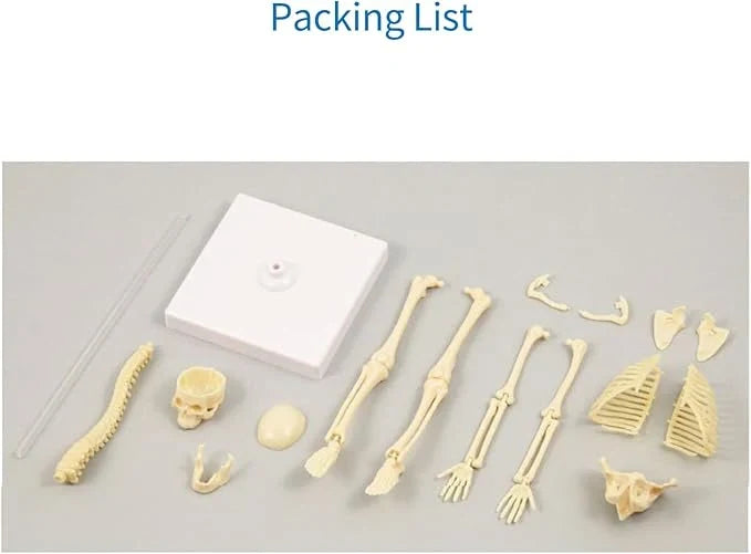 Teng Xin – Explore Science Bone Assembly ARABI CART