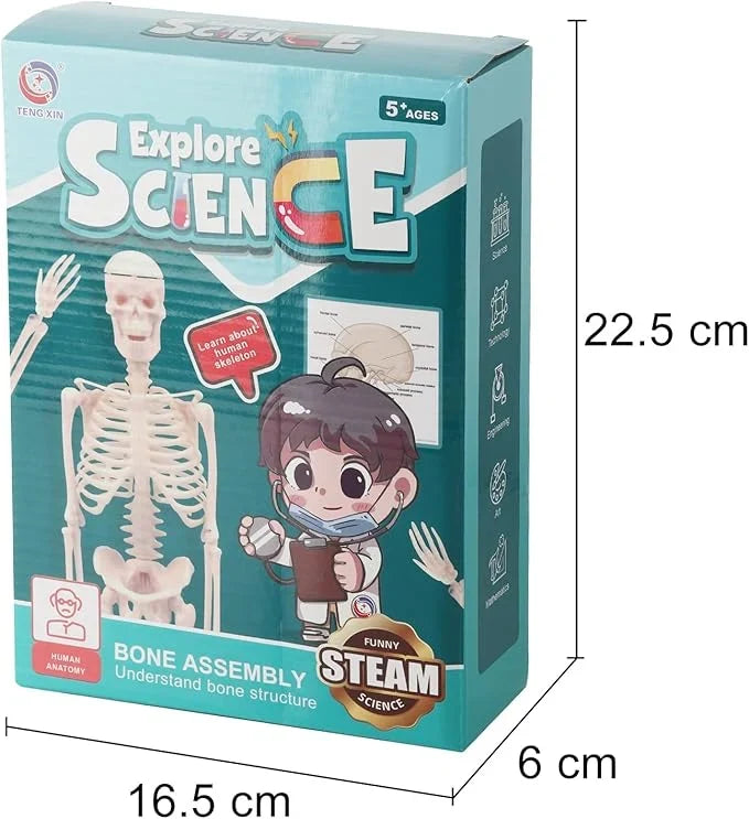 Teng Xin – Explore Science Bone Assembly ARABI CART